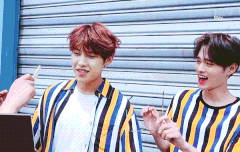 ㅆㅔ씨 커여운 움짜르 모음