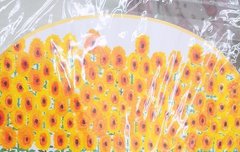 꼬바라기 부채가 웃꼬있자나☺