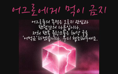 어먹금 짤... 만들어봤는데.....