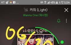 ㅅㄷ)캥거루 듣다가 신나서