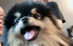 태태야 걱정마(스포주의)