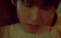 레오님 삼백안은 진리