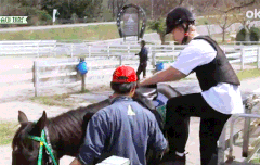 백현이 다리 길오(미터)