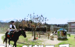 [28화] 첫 승마 체험! 완벽 트레킹 백현 gif 2