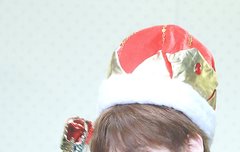 쵬기 나라로 이민갈래