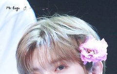 팬싸 과질로 데랴옴