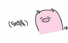 이삐들 대리 맡길 때 조심해!