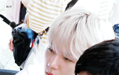 네이처 메이킹 백현