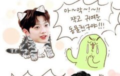 대만여행하다가 대만분이 관린이 알아보심