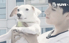 망고부러워 ㅠㅠㅠㅠ