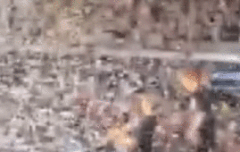 진짜 요즘 장꾸력 완전 상승