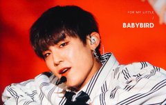 다들 오늘 잘꺼야 .......... ?