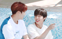 얘드라 ㅇㄱㄹㅇ