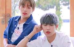 입 벌리고 멍때리는고