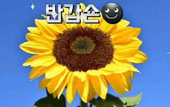 악숀단에서 놀러왔숀~☻