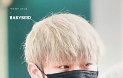 0815 "애기늑대" 박우진ㅜㅜㅜㅜ!!!!!!