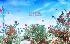 안구정화가 된다..