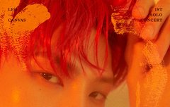 오빠 콘서트 가고싶다