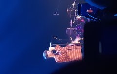 마틴콘 다녀왔는데