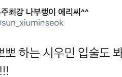 시우민 접촉사고 발생