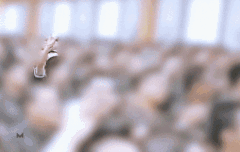 두준이 움짤ㅋㅋㅋ