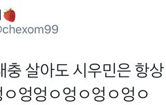 대충살자 시우민처럼