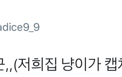 시우민팬은 죄가 없다