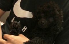 먹물이 넘 예뻐용 ㅠㅠ