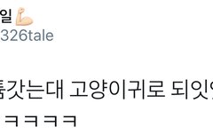 sm 너무한다 일은 안하고 이런거나하고있고 시우민내놔