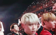 또 카메라 낯가리는 도톨이 ㅋㅋㅋㅋㅋㅋㅋㅋ