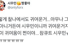 시우민 팬들을 너무 자극하는거아니냐고