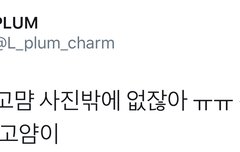 시우민 인스타는 왜 고양이밖에 없어?