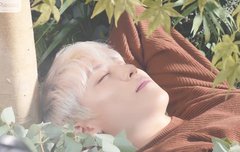 잠자는 숲속의 공주ㅠ 아니 요정 ㅠㅠ