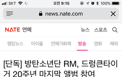 남준이 취한 호랑이님 앨범 참여