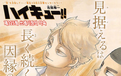 오늘부터 내 최애는 젊은 네코마타 감독님