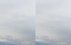 연탄이의 첫 바다구경 (태태짹)