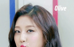 토기들은 티저 타임테이블 나오는거 찬반 어느쪽이야?