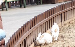 주말에 큰구 이1월2드