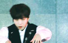 이짤 찐 댕댕이에오...