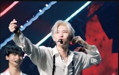 타돌분 하네스 사진 메인에 돌던데..