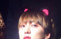 얘들아 이거뭐야...?