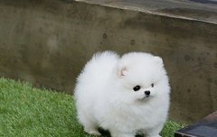 우리는 가족이야