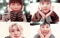 꼬랑단 힐링 프로젝트 1