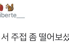 어떤 연예부 기자의 아이돌 감상 주접(시우민)