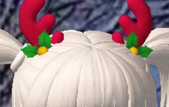 내 제페토를 제발 보고가러르