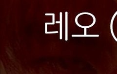 레오 눈빛 사납다ㅋㅋㅋ