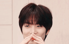 꼬랑단 힐링 프로젝트 7