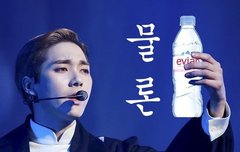 꼬랑단 힐링 프로젝트 8