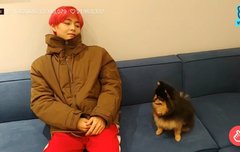 머스터 언제쯤행?