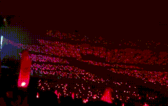 아이콘 2일차 돔콘 톡선글